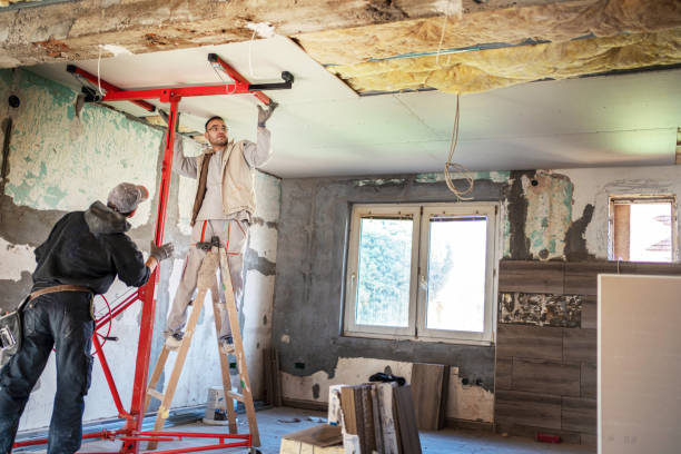Best Cellulose Insulation in Calhoun City, MS