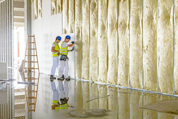Best Specialized Insulation Services in Calhoun City, MS